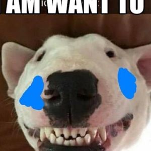 Meet your Posher, Shaun